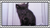 heavenly stamp